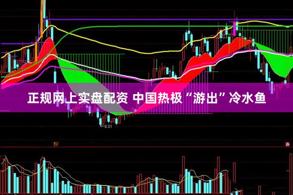 正规网上实盘配资 中国热极“游出”冷水鱼